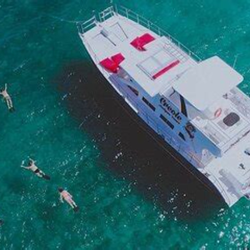 Review Special Price Snorkel Lobster Lunch Cruise To Bird Island And Paradise Reef