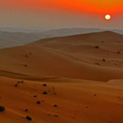 شدّ النّهار وكفكف النور ثم راح - طـلّاع