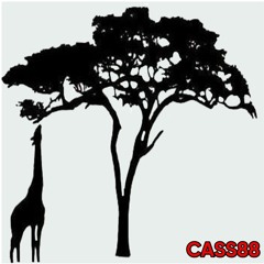 CassinoMcs By Safari