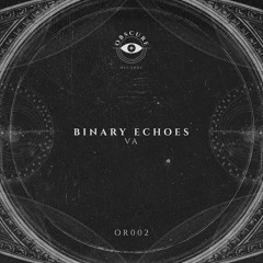 “Binary Echoes”