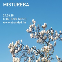 Mistureba #13