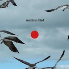 MEXICAN BIRD - NACHO "GRAN RESERVA" 05.24