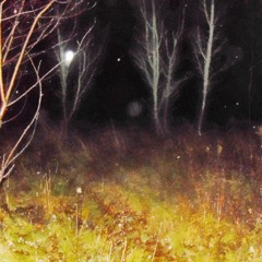 maybe another time demo