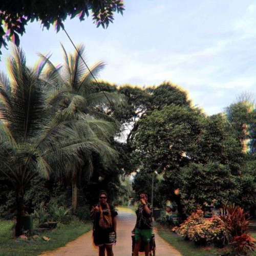 McDonald Taylor 2020 .mp3 🇵🇬🎵☝️