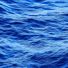 I will probably never return to this