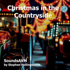 Christmas in the Countryside