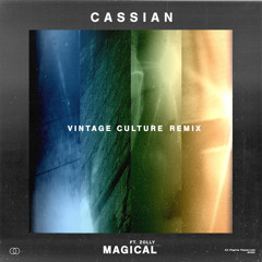 Magical (feat. ZOLLY) - Vintage Culture Remix