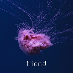 Friend