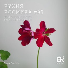 Dj Cosmic - Kukhnya Kosmika 93 mix 25.11.2022