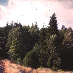 The Cosmic Silence - Revisited