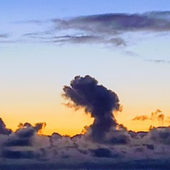 This House (unplugged)