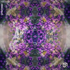 Premiere: Spintribe - Heliotrope (Slipp Remix) [Digital Structures]
