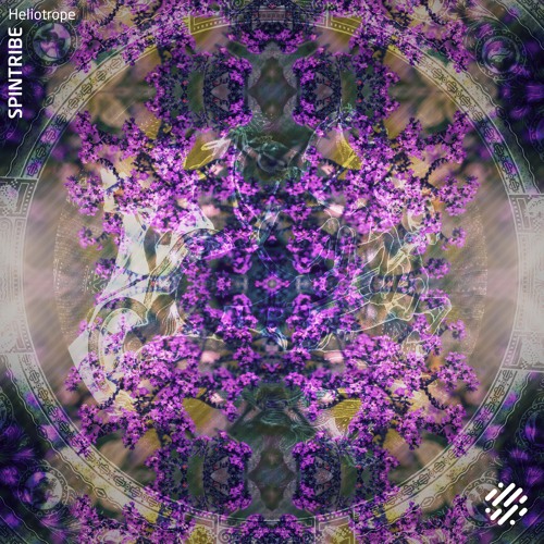 Premiere: Spintribe - Heliotrope (Slipp Remix) [Digital Structures]