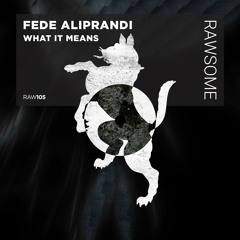 Fede Aliprandi - What It Means [RAW106]