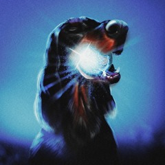 Chien Méchant - Étoile Filante