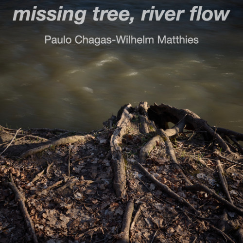 Missing tree, River flows