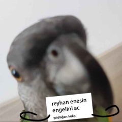 değmesin ellerimiz hoodtrap