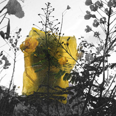 Karnivool - We are (Karob Edit) [Snippet Demo]