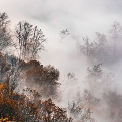 Foggy