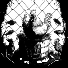 JAV JAV - CHICKEN RAP