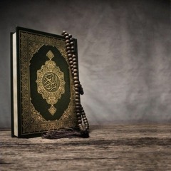 يا حـافظ القرآن رتل آيِـه 💌💗 #محمد_المقيط 🕊️
