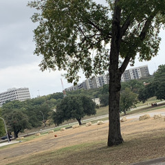 @Aggressive- Backseat