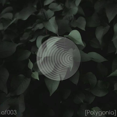 AF003 Polygonia