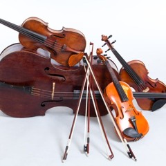 Strings Project