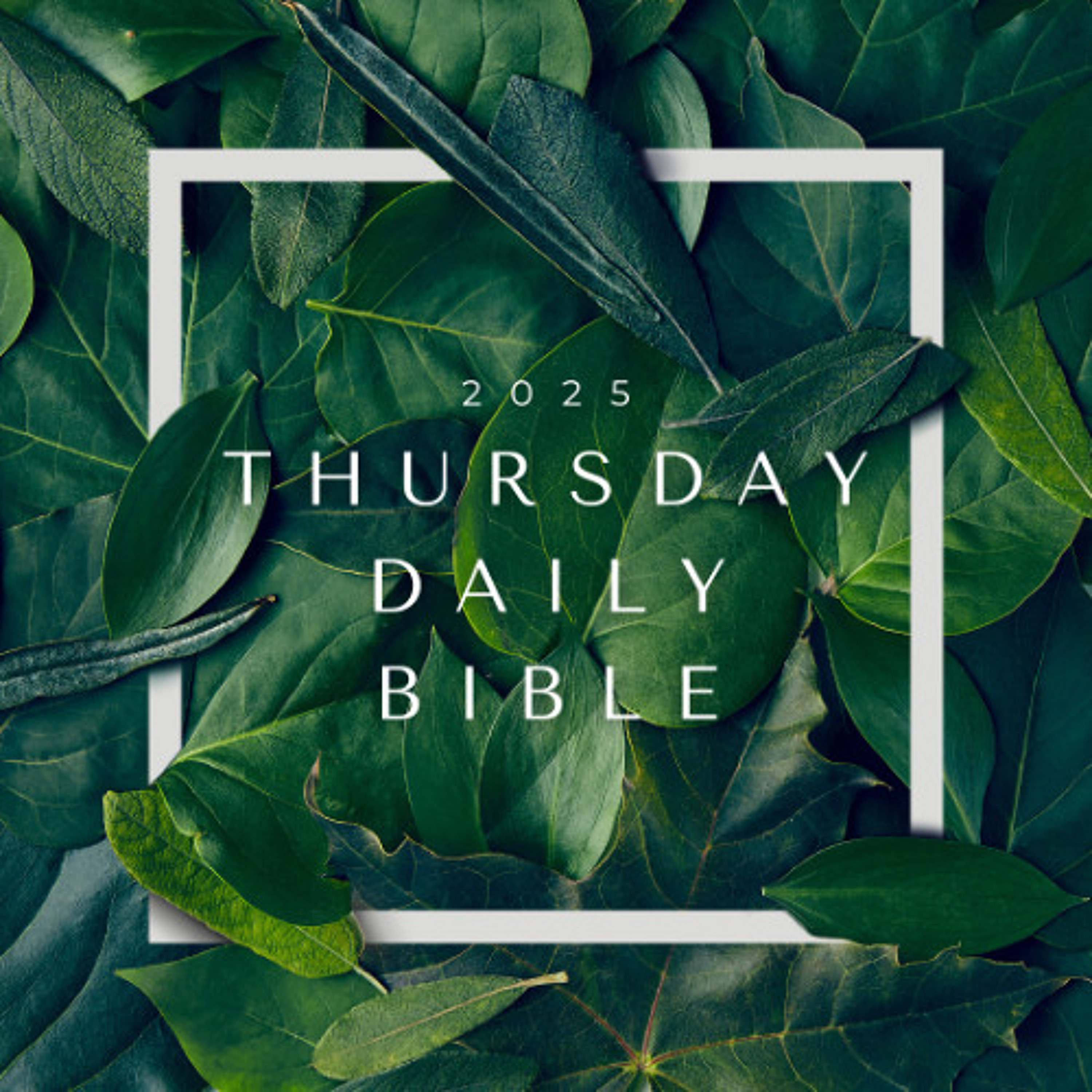 25.02.20 (Lk 5) Daily Bible episode artwork
