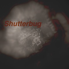 Shutterbug