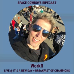 WorkR RIPEcast Live at IAND-BOC 2020