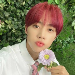 (Sunwoo Cover) Nerdy Love - pH-1