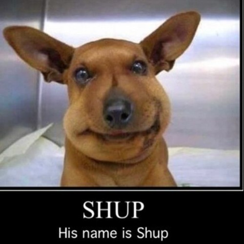 2007myspacegirl - Steven Hyde (prod. Sean Bentley)