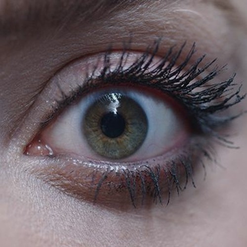 The Journey Continues...