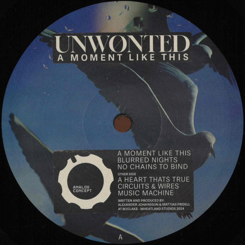 PREMIERE: UNWONTED - No Chains To Bind