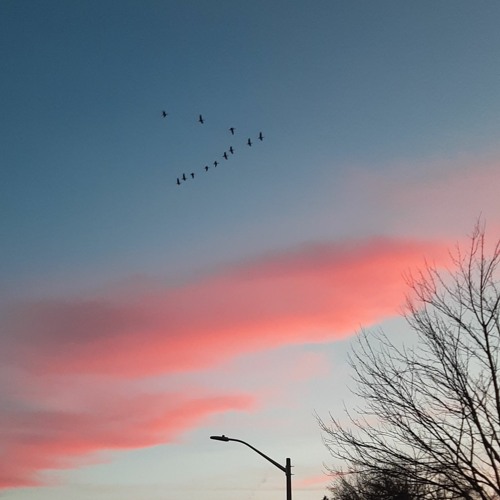 Understand ( Tory Lanes Cover / reinterpretation) (Demo)