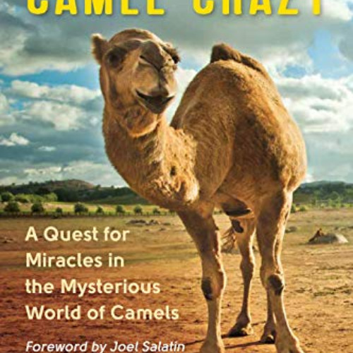 [View] KINDLE 📝 Camel Crazy: A Quest for Miracles in the Mysterious World of Camels