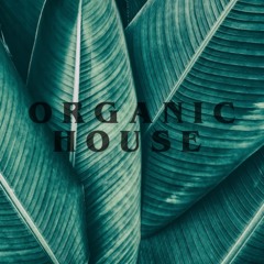 #001 Organic House