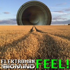 Feel! (Beta)