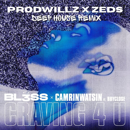 Craving 4 U (Zeds & ProdWillz Deep House Remix)