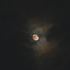 Niṣf Sha'bān - Supplications & Adhkār