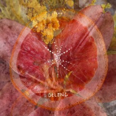 Full Moon 🌕 2 24 24 🎵 Sound Integration