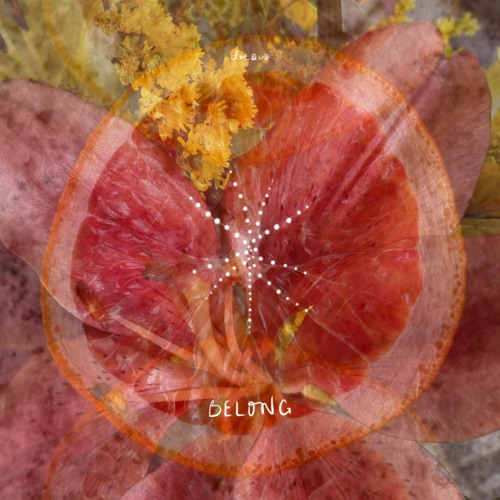 Full Moon 🌕 2 24 24 🎵 Sound Integration