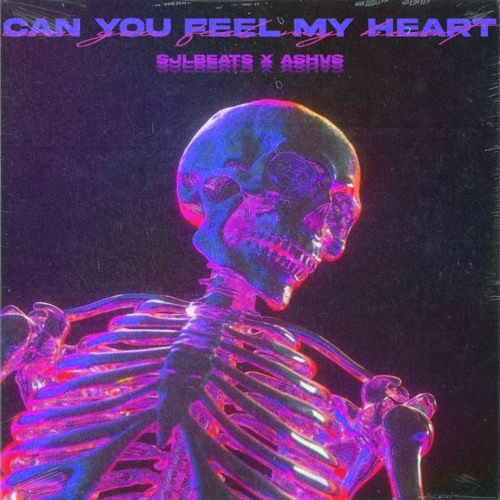 CAN YOU FEEL MY HEART (w/ ASHVS)