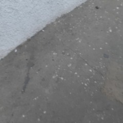 VEM JOGANDO A BCT* PRO DJ , DJ FAIXA PRETA ♫ ♪ _ [[ LC 22 DA ALBÂNIA ]] _ BEAT RUGAL TEGAA , 130BPM