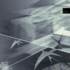 B. Adrian Niculae - 001.2