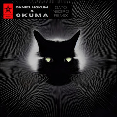 Gato Negro (Daniel Hokum & okuma Remix)