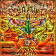 Dmt house