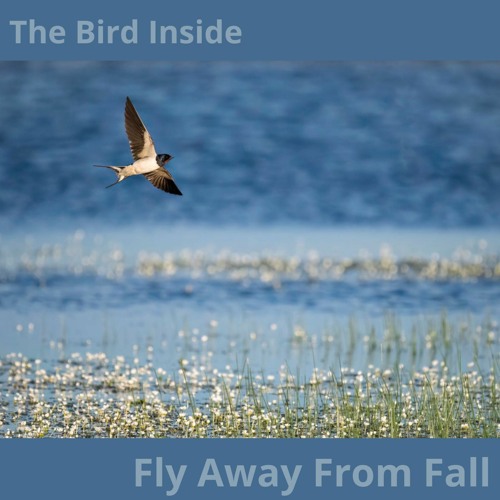 FLY AWAY FROM FALL