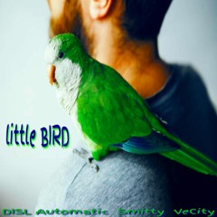 "LITTLE BIRD" by DISL Automatic & Smitty (prod by VeCity)